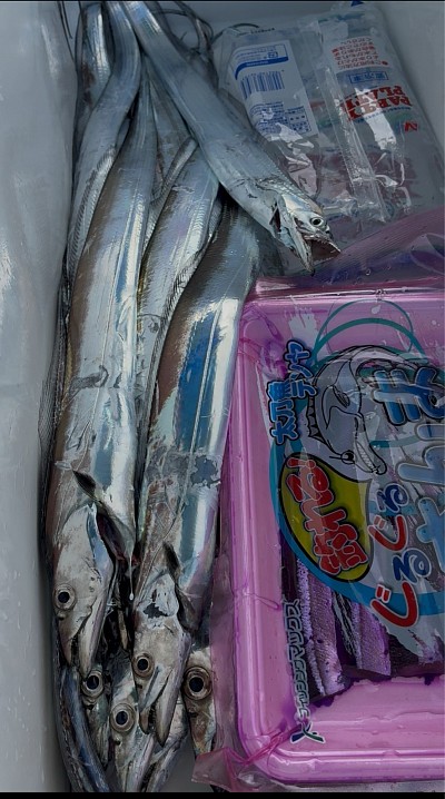 船釣り・・・太刀魚