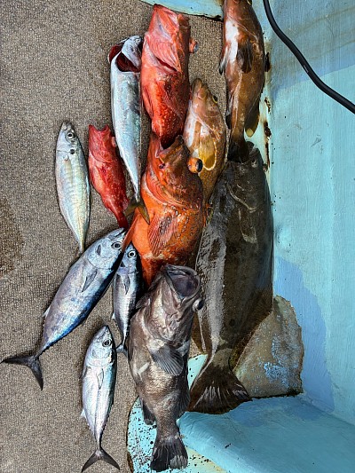 目標が達成できた